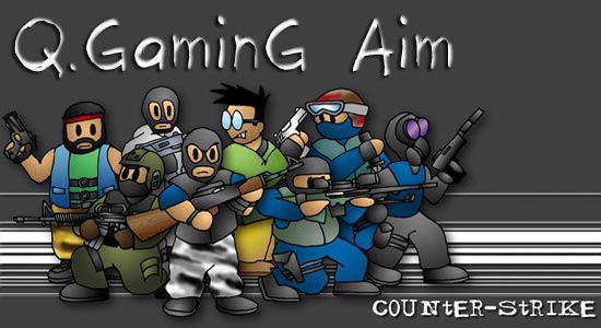 Сервер Q.GaminG Aim